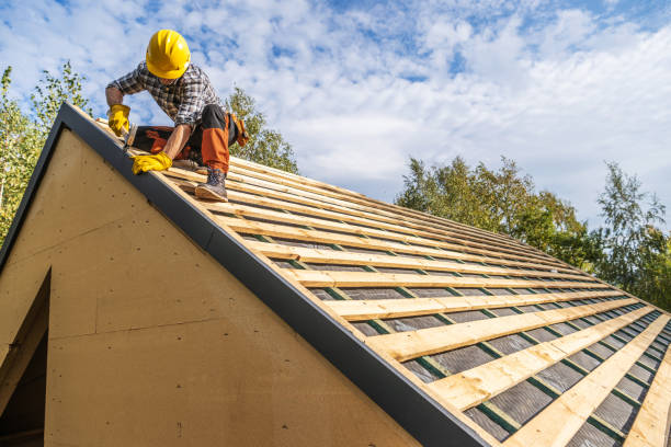 Best Roof Gutter Cleaning  in Mount Vernon, OH